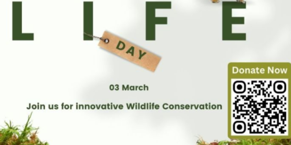 We Celebrate Wildlife Diversity and Commit to its Protection for Future Generations